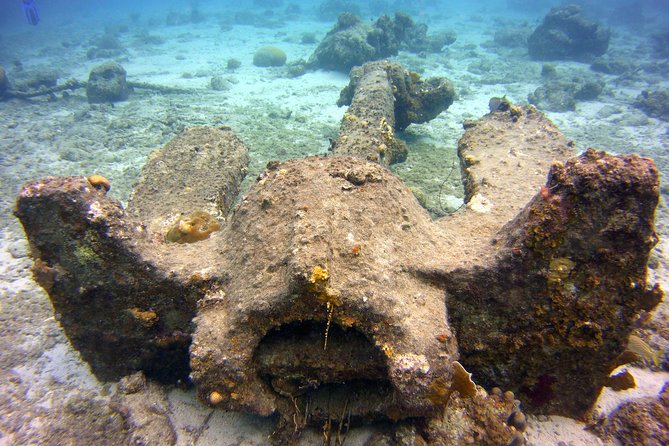 Discover Scuba Diving in Curacao - The Skill Work Under Guidance: Breathing and Underwater Communication