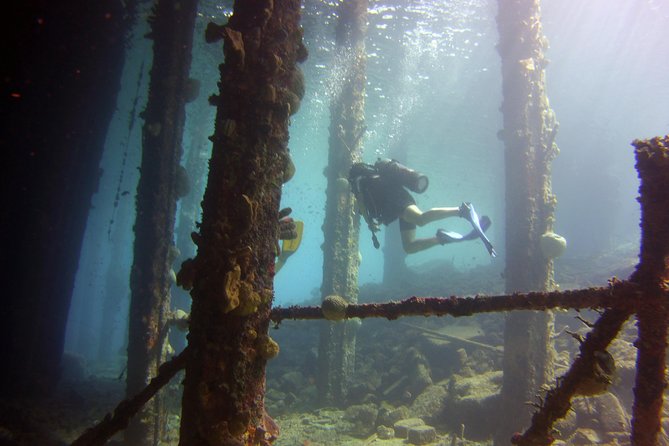 Discover Scuba Diving in Curacao - Small Groups and Personal Attention: Why This Feels Different