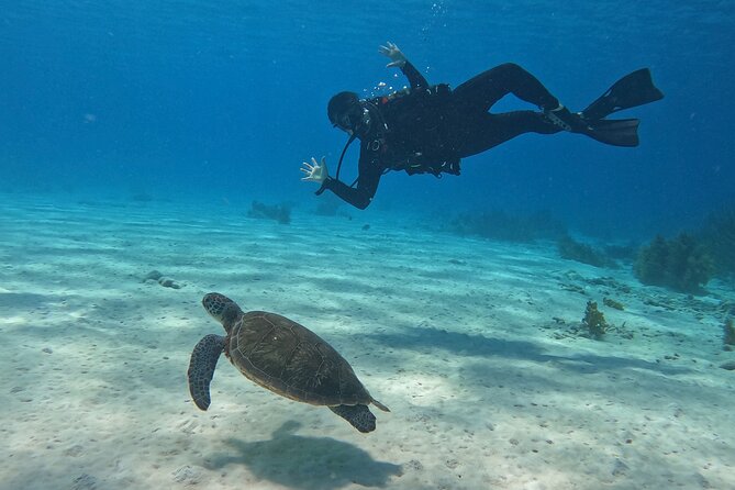 Discover Scuba Diving in Diver's Paradise! - Two underwater sessions at Bonaire Marine Park (and what the timing really means)