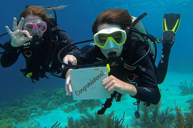 Discover Scuba Diving in Diver's Paradise! - Lunch, snacks, and the small comforts that keep the day smooth
