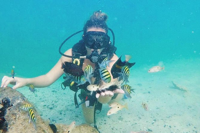 Discover Scuba Diving in Dubai - 3 Hours on the Schedule: What Actually Happens During the Time