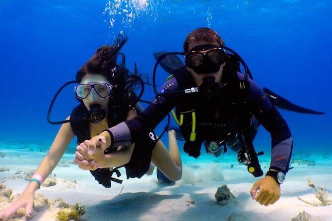 Discover Scuba diving in El Nido - Key Things I’d Focus On