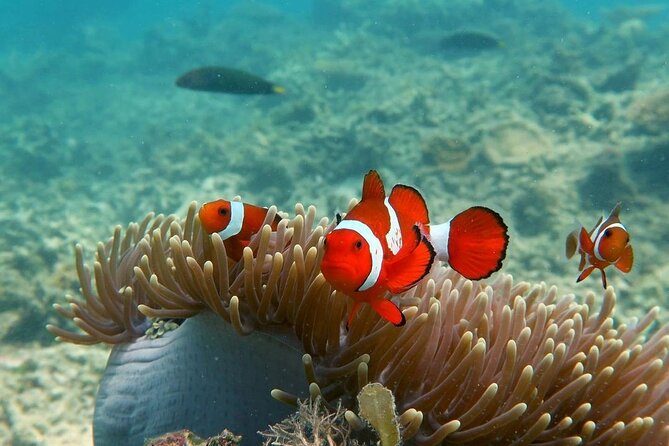 Discover Scuba diving in El Nido - Equipment, Staff, and the Attention That Makes Beginners Feel Safe
