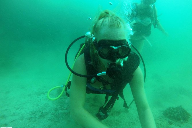 Discover Scuba Diving in Fujirah Dibba - Seabreacher Water-Sports Center: Getting Fitted and Ready