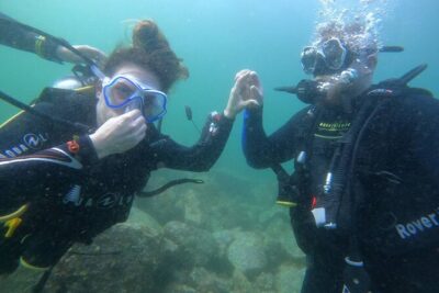 Discover Scuba Diving in Fujirah Dibba - Dibba Rock Underwater Site: Small Island, Big Wildlife Chances