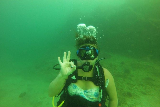 Discover Scuba Diving in Fujirah Dibba - Marine-Life Reality Check: Managing Expectations Smartly