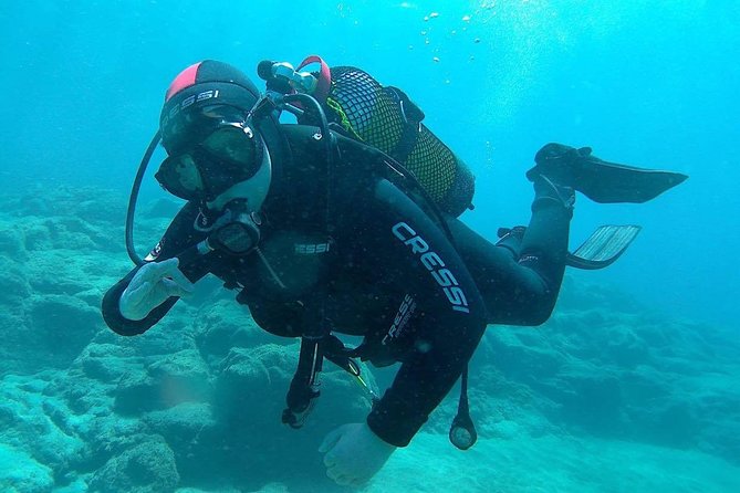 Discover Scuba diving in Gran Canaria with Hotel Pick-up - Angel sharks and local marine life: what you’ll be watching for