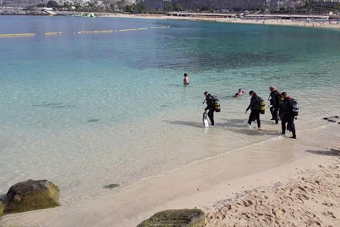Discover Scuba diving in Gran Canaria with Hotel Pick-up - Price and value: what you’re really paying for
