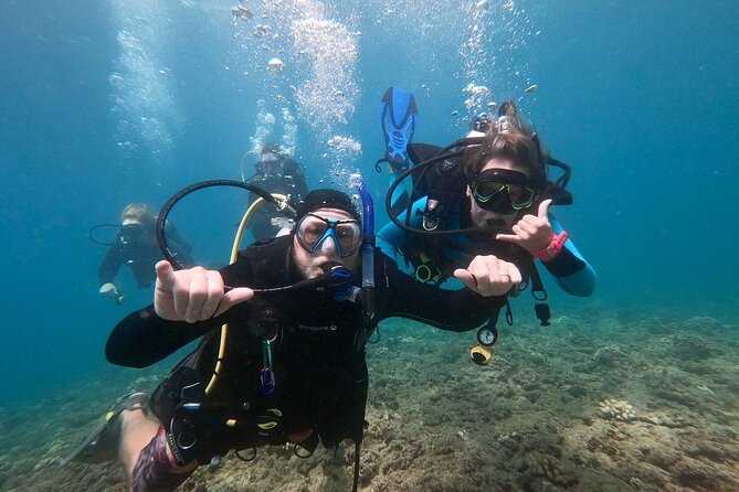 Discover Scuba Diving in Hawaii - Non certified divers! - Two Guided Underwater Sessions in Shallow Water