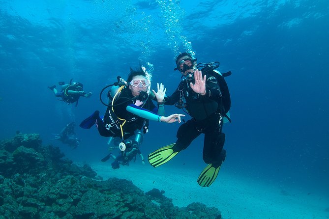 Discover Scuba Diving in Koh Lanta, Thailand - Key highlights at a glance