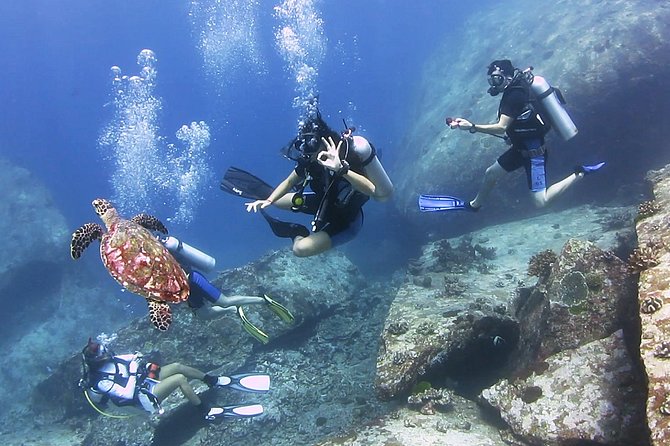 Discover Scuba Diving in Koh Lanta, Thailand - What’s included in the $211.88 price—and why it feels fair