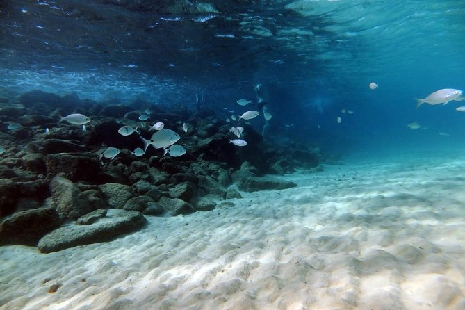 Discover Scuba Diving in Lanzarote (Costa Teguise) - The instructor makes or breaks your first session: why this one gets praise