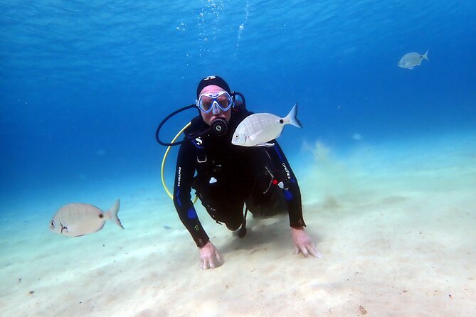 Discover Scuba Diving in Lanzarote (Costa Teguise) - Shore entry at Playa Del Jablillo and Playa Chica: why these stops work