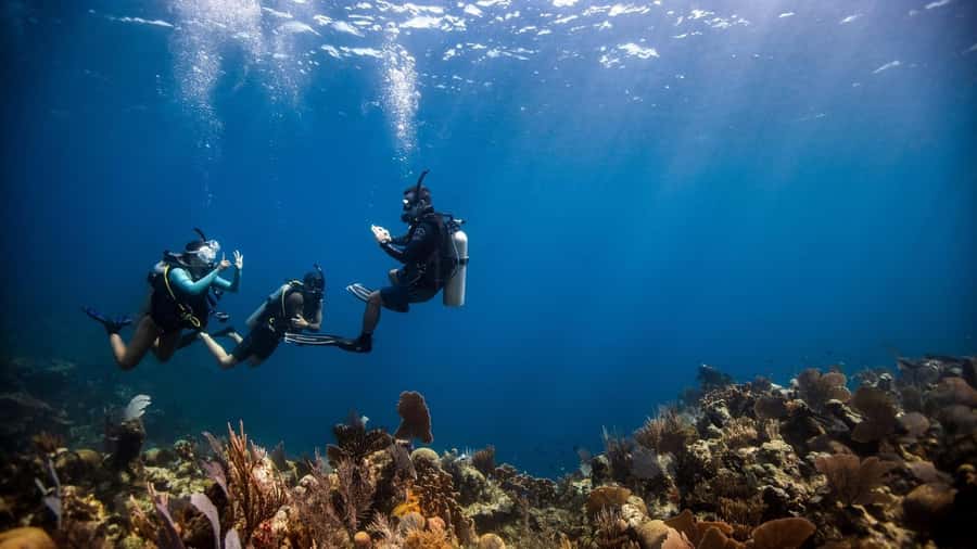 DISCOVER SCUBA DIVING IN LEMORNE with EasydiveMauritius - On-site guidance and safety you can actually feel