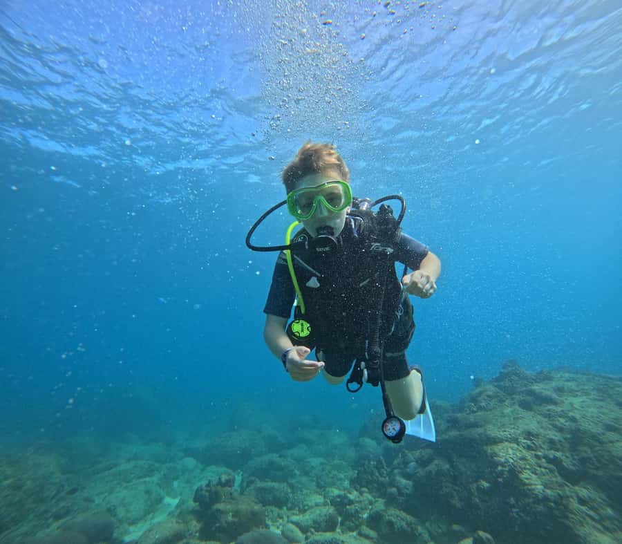 DISCOVER SCUBA DIVING IN LEMORNE with EasydiveMauritius - Price and value: is $159 for two hours a fair deal?
