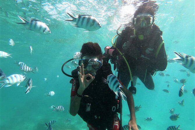 Discover Scuba Diving in Mauritius - Key highlights you’ll care about