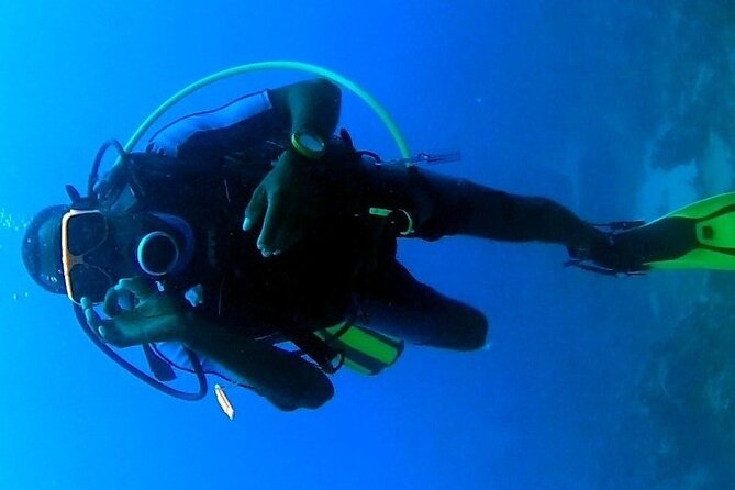 Discover Scuba Diving in Montego Bay-ONE Tank (First time Diving) - Price and value: is $169.99 a fair deal for a first try?