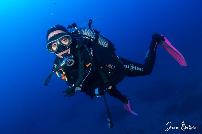 Discover Scuba Diving in Palamos - Key Highlights You’ll Feel Immediately