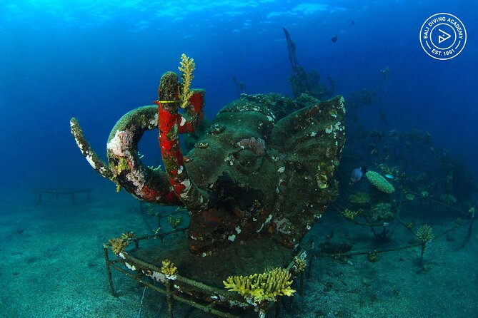 Discover Scuba Diving in Pemuteran at the Biorock site,1 shore dive all included - Price and logistics: is $75 good value here?