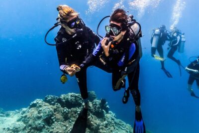 Discover Scuba Diving in Pemuteran - Diving Initiation in Bali (Menjangan Park) - Menjangan Island time: lunch, logistics, and why the breaks matter
