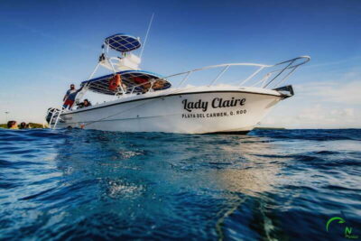 Discover Scuba Diving in Playa del Carmen - 2 dives - Gear and basic underwater breathing (without rushing you)