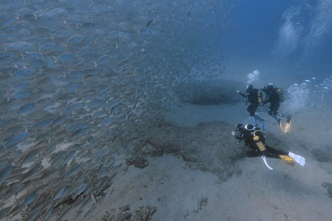 Discover Scuba Diving in Puerto de Mogan - How the Timing Works (and Why It Can Feel Longer Than You Expect)