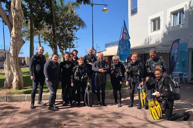 Discover Scuba Diving in Puerto de Mogan - Marine Life and What You’ll See Under the Surface