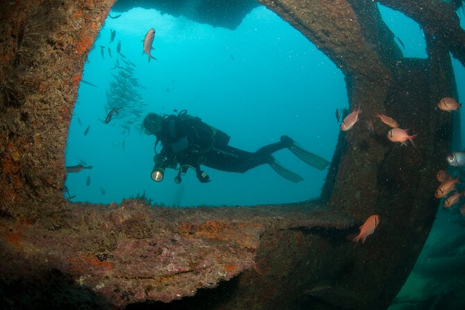 Discover Scuba Diving in Sal - The Morning Briefing and Bikini Beach Skills Practice (8:30–11:30/12:00)