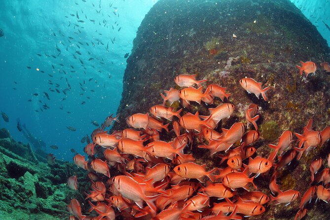 Discover Scuba Diving in Sal - Who This Works Best For (And Who Should Think Twice)