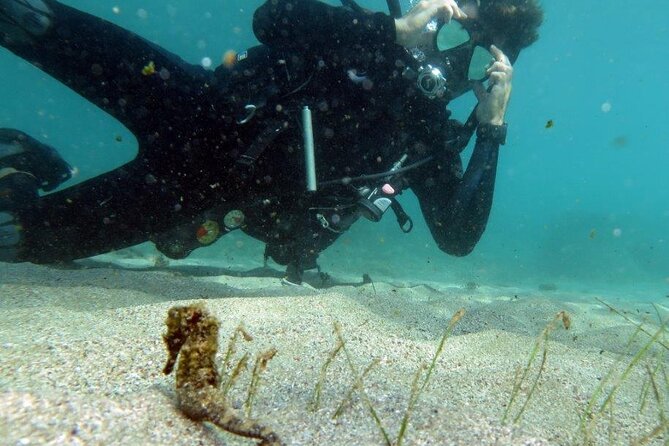 Discover Scuba Diving in San Juan - Escambrón Marine Park is a smart pick for first-time scuba
