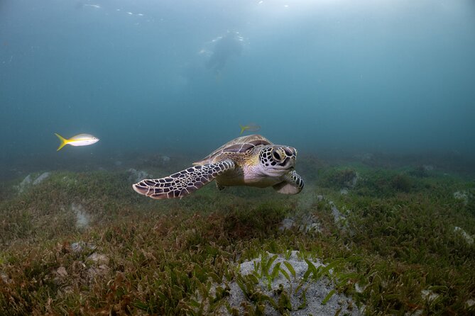 Discover Scuba Diving in San Juan - Equipment and facilities: the comfort side of scuba