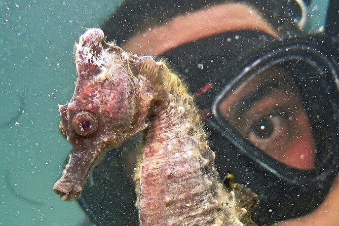 Discover Scuba Diving in San Juan - Instruction style: why the learning feels manageable