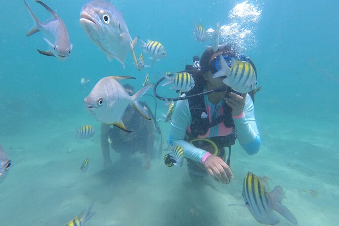 Discover Scuba Diving in San Juan: Perfect for First-Time Divers - Key things to know before you go