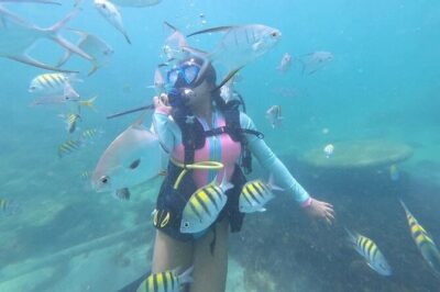 Discover Scuba Diving in San Juan: Perfect for First-Time Divers - Meeting Point and Timing: Getting to Caribe Hilton Without Stress