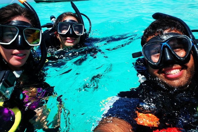 Discover Scuba Diving in San Juan: Perfect for First-Time Divers - Marine Life You Might Spot, Plus How Rain Changes the Odds