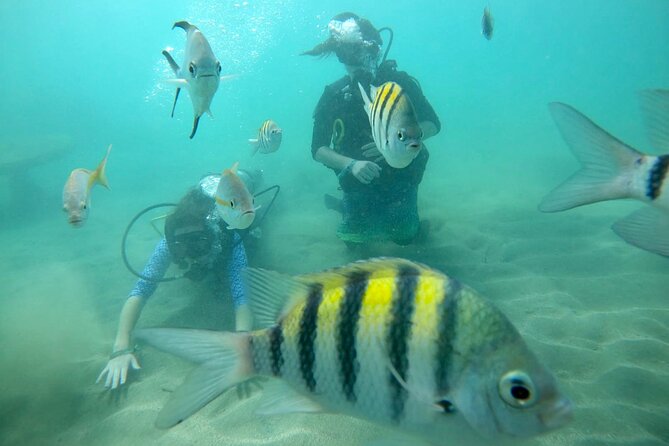 Discover Scuba Diving in San Juan: Perfect for First-Time Divers - What’s Included and What to Bring Yourself