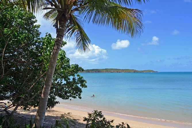 Discover Scuba Diving in San Juan: Perfect for First-Time Divers - Should you book this first-timer program in San Juan?