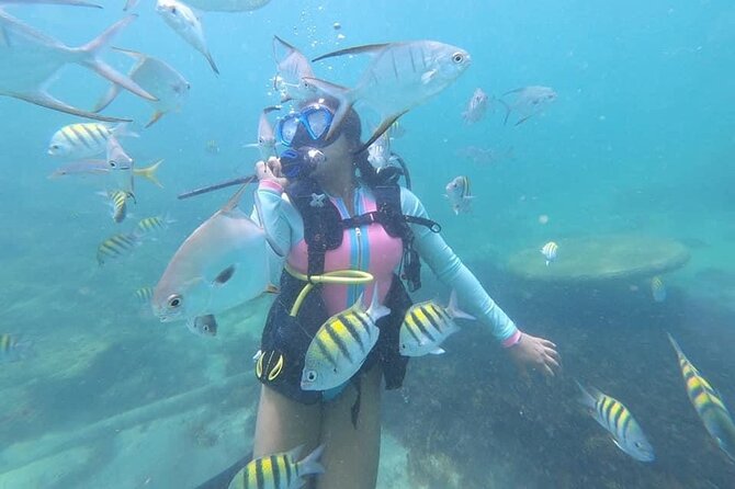 Discover Scuba Diving in San Juan: Perfect for First-Time Divers - Meeting Point and Timing: Getting to Caribe Hilton Without Stress