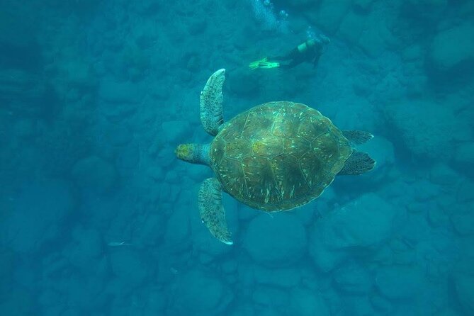 Discover Scuba Diving in Tenerife - Key things I think you’ll notice right away