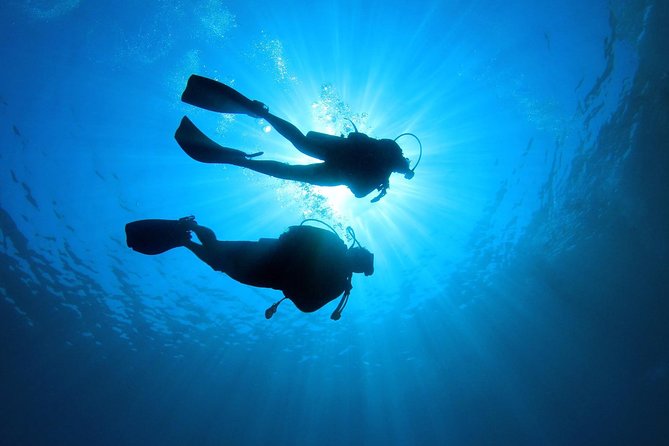 Discover Scuba Diving in Tenerife - The first 35 minutes: briefing that turns nerves into steps