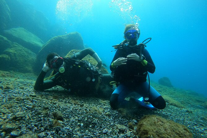 Discover Scuba Diving in Tenerife - The underwater plan in the bay of La Caleta