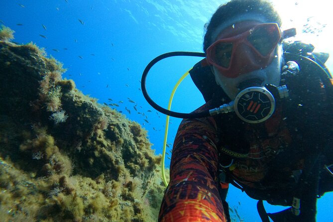 Discover Scuba Diving in Tenerife - Photos and videos: the souvenir you don’t have to chase