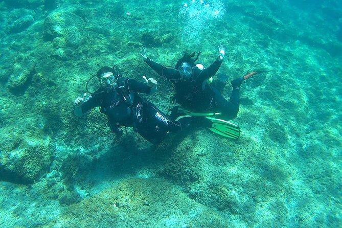 Discover Scuba Diving in Tenerife - Price and value: is $78.64 worth it?