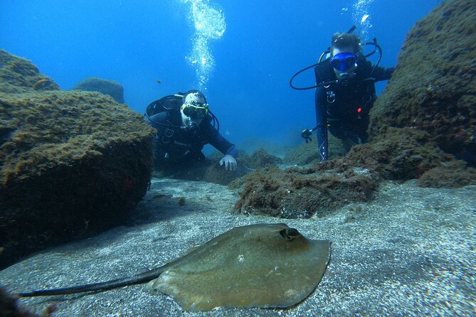 Discover Scuba Diving in Tenerife - Weather rules and the 12-hour no-flight reality