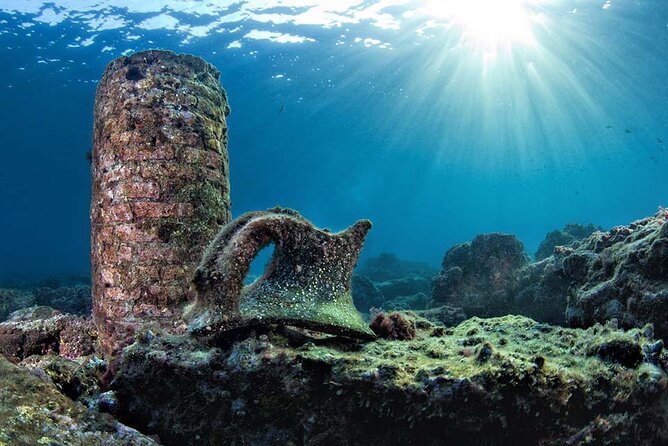 Discover Scuba Diving in the Bay Submerged Park - Boat Transfer, Timing, and What to Bring
