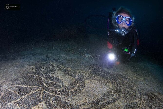 Discover Scuba Diving in the Bay Submerged Park - Who Should Book This and Who Should Skip It