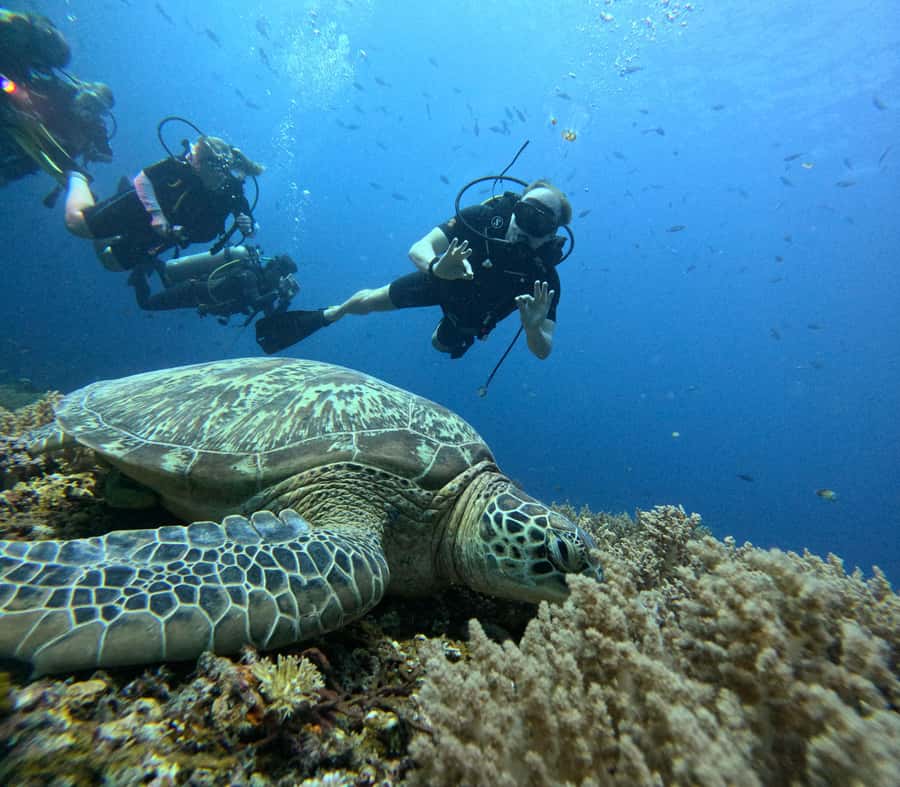 Discover Scuba Diving in the North of Mauritius - Mon Choisy Start: how the 3 hours really unfold