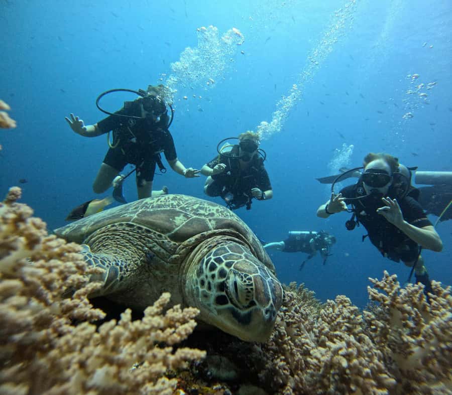 Discover Scuba Diving in the North of Mauritius - Safety Briefing and Scuba Basics: the stuff that makes you relax