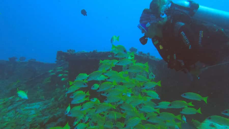 Discover Scuba Diving in the North of Mauritius - Who it suits best (and who should skip it)