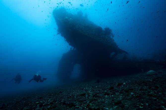 Discover Scuba Diving in Tulamben - Diving Initiation in Bali best diving sites - The Training Flow: From Shallow Skills to Coral Garden Practice